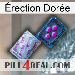 Érection Dorée 37